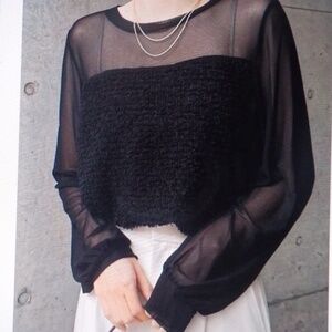 Black Sheer Blouse w/Camisole